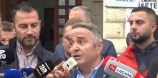 Intelektuali që do një protestë të revoltuar, por dhe të pavotuar